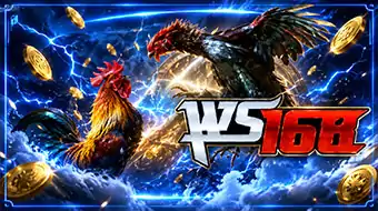 Sabung Ayam WS168
